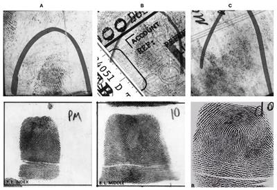 End-to-End Automated Latent Fingerprint Identification With Improved DCNN-FFT Enhancement